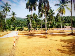 Land for Sale in Horana