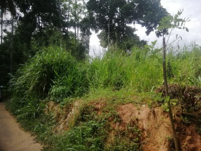 Residential Land for sale in Kandy Bowalawatta