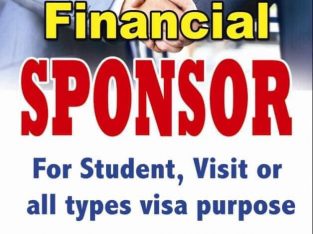 FREE CONSULTING – FINANCIAL SPONSOR FOR VISA