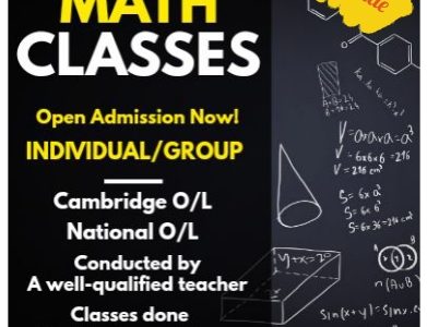 Online Maths for O/L