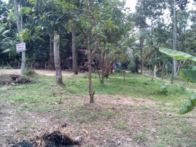 Land for sale in Minuwangoda