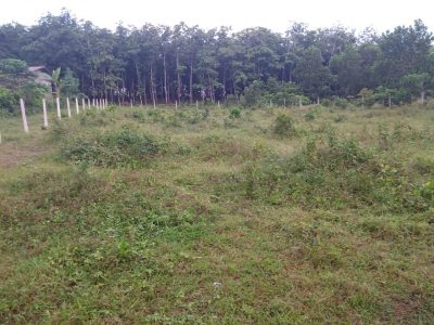 Land for Sale – Bandaragama