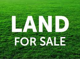 Valuable land for sale in Colombo city