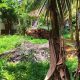 Property for Sale in Bandaragama Town – 46.64 P