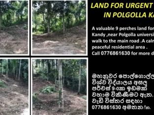 Land for immediate sale in Kandy
