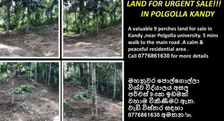 Land for immediate sale in Kandy
