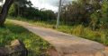 Land For Sale Sigiriya සිගිරිය පෙනෙන අගනා ඉඩම විකිණීමට