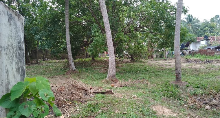 පන්නලින් හොදම ඉඩමක් Land For Sale In Pannala