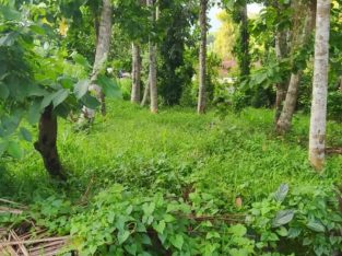 Land for Sale In Mawanella