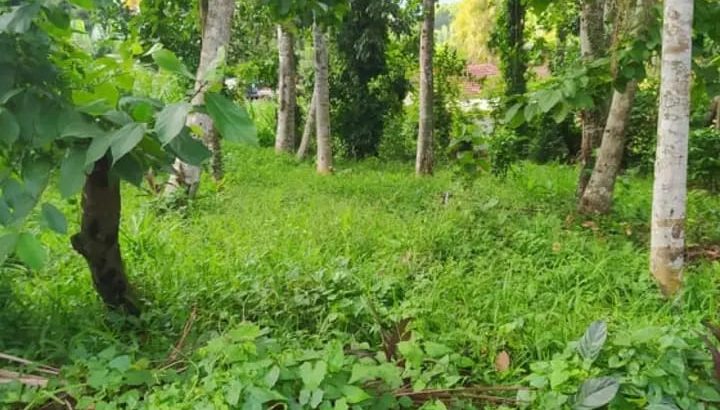 Land for Sale In Mawanella