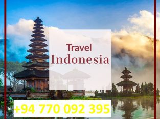 Indonesia Visitor Visa