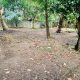 10.Perches Commercial Or Residential Land for Sale in Malabe