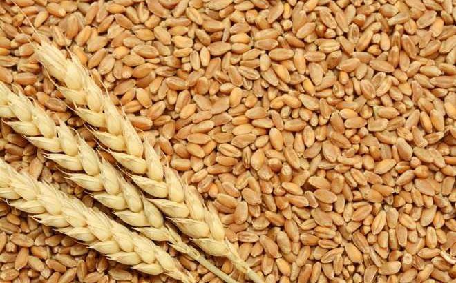 Wheat (WEE)