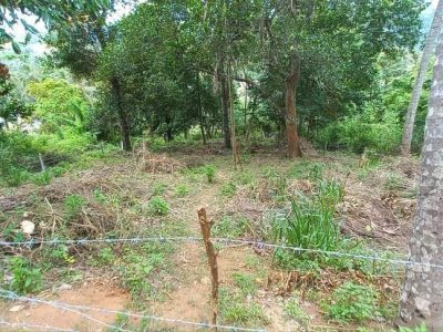Land For Sale in Matale