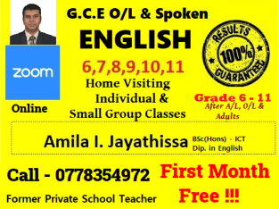 Grade 6,7,8,9,10,11 Online English Classes