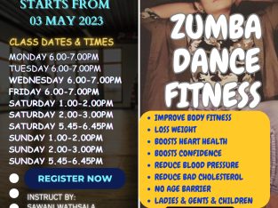 Online Zumba Dance Fitness Workouts Class