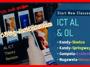 AL ICT Theory & Revision 2023 2024