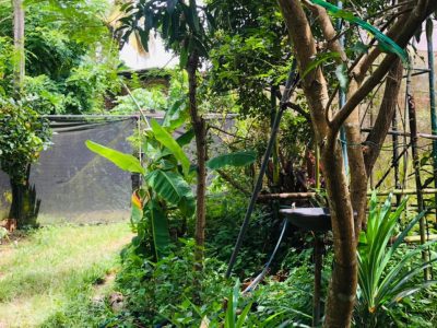 Land and house for sale in Gampaha