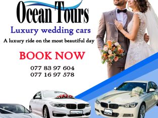 Luxury Wedding Cars For Hire