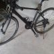 Push bicycle for sale