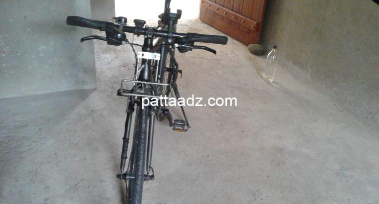 Push bicycle for sale