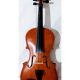 Lark violin for sale